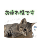 ザギちゃん＆トワくん☆スタンプ（個別スタンプ：12）