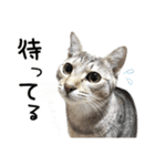 ザギちゃん＆トワくん☆スタンプ（個別スタンプ：13）
