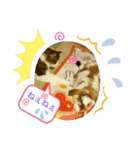 メインクーン王子おじゅ♪Part2（個別スタンプ：7）