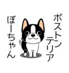 マスコット犬ぼーちゃん 2（個別スタンプ：1）