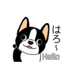 マスコット犬ぼーちゃん 2（個別スタンプ：3）