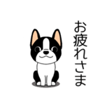 マスコット犬ぼーちゃん 2（個別スタンプ：4）