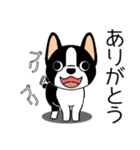 マスコット犬ぼーちゃん 2（個別スタンプ：5）