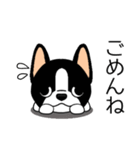 マスコット犬ぼーちゃん 2（個別スタンプ：6）
