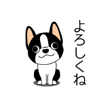マスコット犬ぼーちゃん 2（個別スタンプ：8）