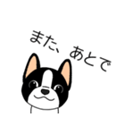 マスコット犬ぼーちゃん 2（個別スタンプ：10）