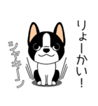 マスコット犬ぼーちゃん 2（個別スタンプ：11）