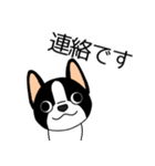 マスコット犬ぼーちゃん 2（個別スタンプ：12）