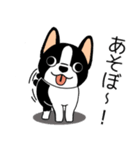 マスコット犬ぼーちゃん 2（個別スタンプ：13）