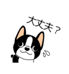 マスコット犬ぼーちゃん 2（個別スタンプ：14）
