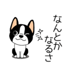 マスコット犬ぼーちゃん 2（個別スタンプ：15）