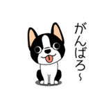 マスコット犬ぼーちゃん 2（個別スタンプ：17）