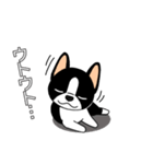 マスコット犬ぼーちゃん 2（個別スタンプ：18）