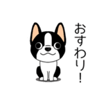 マスコット犬ぼーちゃん 2（個別スタンプ：19）
