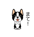 マスコット犬ぼーちゃん 2（個別スタンプ：20）