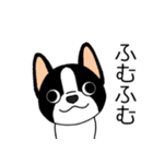 マスコット犬ぼーちゃん 2（個別スタンプ：21）