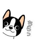 マスコット犬ぼーちゃん 2（個別スタンプ：22）