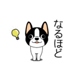 マスコット犬ぼーちゃん 2（個別スタンプ：23）