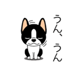 マスコット犬ぼーちゃん 2（個別スタンプ：24）