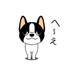 マスコット犬ぼーちゃん 2（個別スタンプ：25）