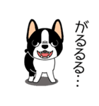 マスコット犬ぼーちゃん 2（個別スタンプ：30）