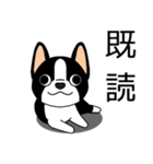 マスコット犬ぼーちゃん 2（個別スタンプ：39）
