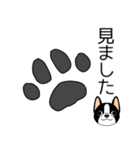 マスコット犬ぼーちゃん 2（個別スタンプ：40）