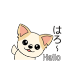 マスコット犬ちぃ太郎2（個別スタンプ：3）
