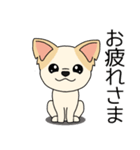 マスコット犬ちぃ太郎2（個別スタンプ：4）