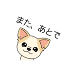 マスコット犬ちぃ太郎2（個別スタンプ：10）