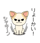 マスコット犬ちぃ太郎2（個別スタンプ：11）