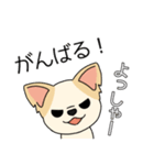 マスコット犬ちぃ太郎2（個別スタンプ：17）