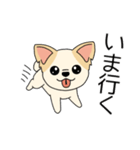 マスコット犬ちぃ太郎2（個別スタンプ：20）