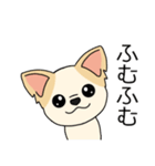 マスコット犬ちぃ太郎2（個別スタンプ：22）