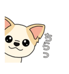 マスコット犬ちぃ太郎2（個別スタンプ：23）