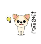 マスコット犬ちぃ太郎2（個別スタンプ：24）