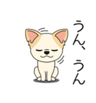 マスコット犬ちぃ太郎2（個別スタンプ：25）