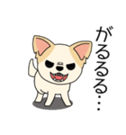 マスコット犬ちぃ太郎2（個別スタンプ：31）