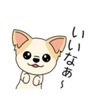 マスコット犬ちぃ太郎2（個別スタンプ：33）