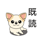 マスコット犬ちぃ太郎2（個別スタンプ：39）