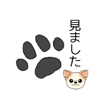 マスコット犬ちぃ太郎2（個別スタンプ：40）