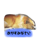 れのんリメイク版（個別スタンプ：2）