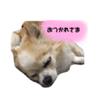 れのんリメイク版（個別スタンプ：8）
