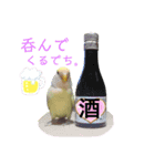 コザクラインコのネロ②（個別スタンプ：1）