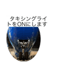 航空マニアックのスタンプ（個別スタンプ：7）