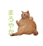 ほこらしげなムギ（個別スタンプ：8）