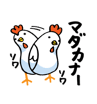 ゆるいニワトリ カタカナスタンプ 第2弾（個別スタンプ：20）