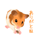 かしこいはむすたー（個別スタンプ：1）
