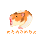 かしこいはむすたー（個別スタンプ：5）