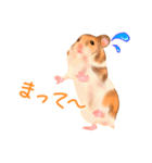 かしこいはむすたー（個別スタンプ：6）